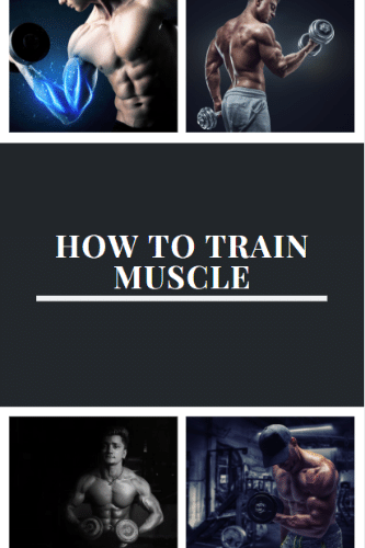 How To Train Muscle